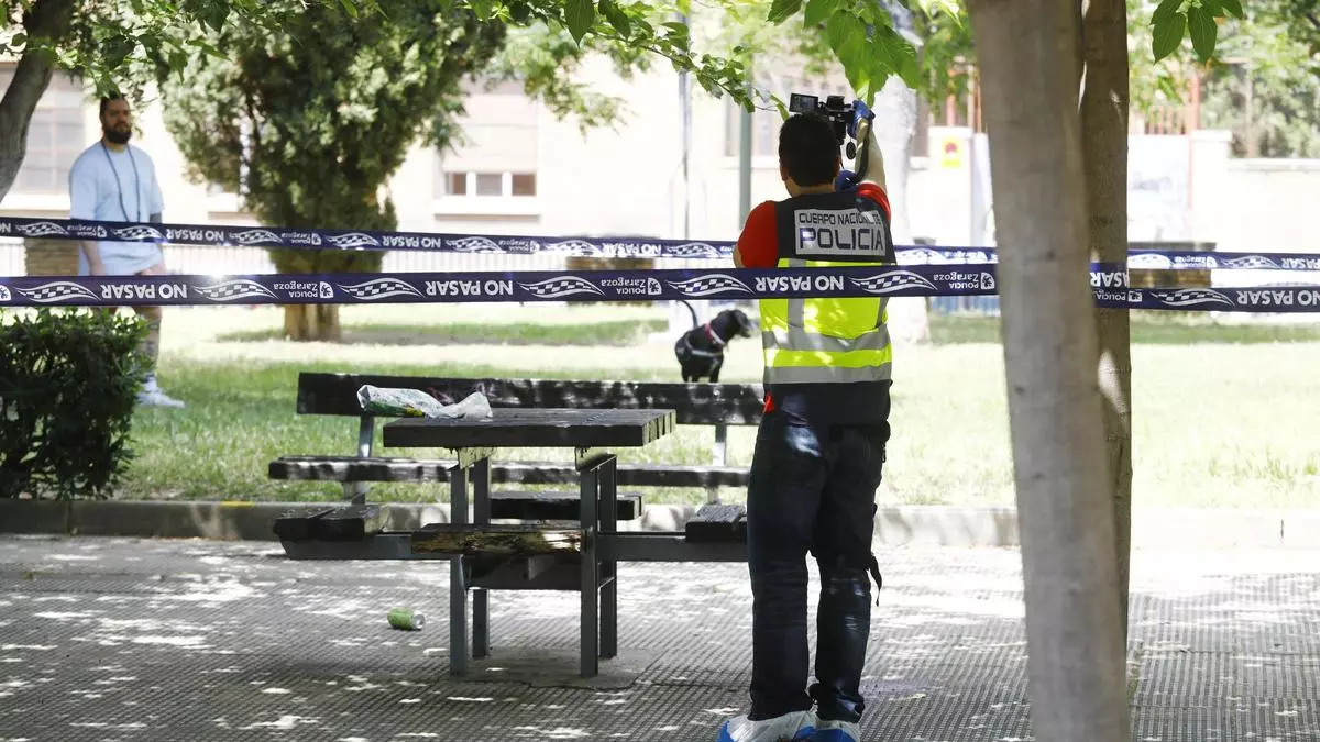 Detenidos los dos menores que se fugaron tras el acuchillamiento en el campus San Francisco de Zaragoza