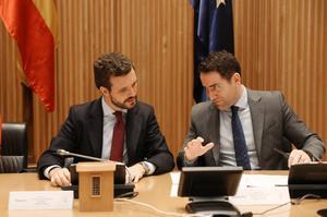 El presidente del PP, Pablo Casado (izq) y el secretario general del Partido Popular, Teodoro GarcÃ­a Egea (dech), durante la reuniÃ³n plenaria del Grupo Parlamentario Popular, en Madrid (EspaÃ±a), a 6 de febrero de 2020.