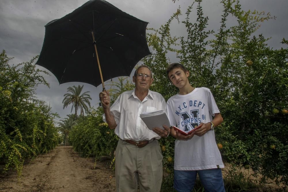 Cabañuelas: predicción del tiempo en Elche