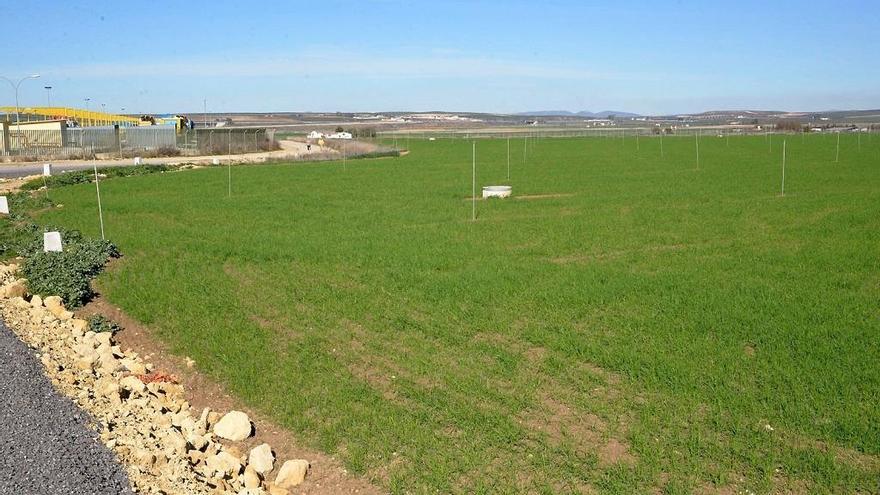 La Junta pone en marcha el proyecto de urbanización del Puerto Seco de Antequera