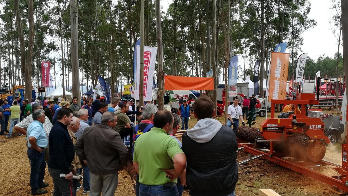 Actividades en una edición anterior del monográfico forestal.