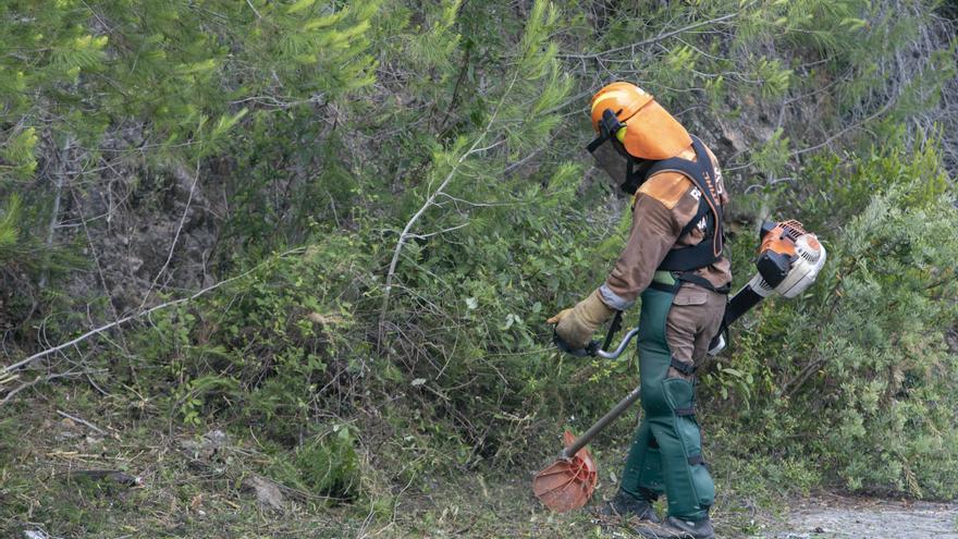 La vegetación forestal se dispara con 100.000 hectáreas más en 7 año y aumenta el riesgo de megaincendios