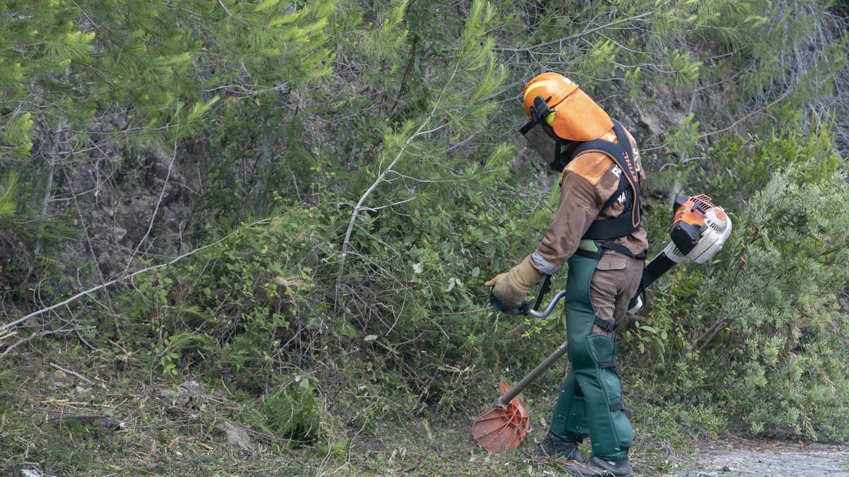 Barraca d'Aigües Vives. RBR VLC Limpieza del monte para la prevención de incendios por la brigadas de Diputació