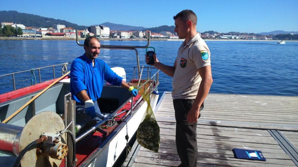 Rodeira salva el primer día del marisqueo a flote