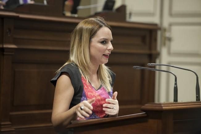 19/01/2017.CANARIAS.Pleno del Parlamento de Canarias..Fotos: Carsten W. Lauritsen