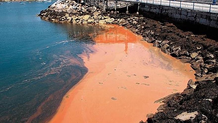 Las algas tiñen de naranja una cala de San Vicente y Pedras Negras