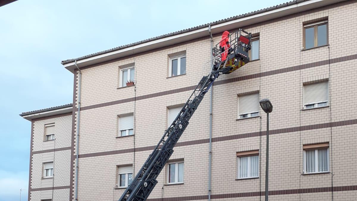 Retiran un nido de avispa asiática en la calle Feijoó