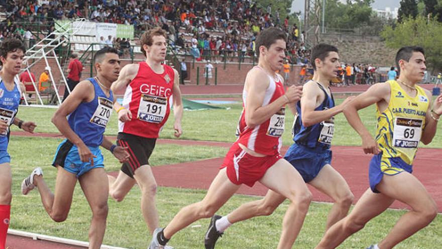 Bon paper dels gironins al campionat juvenil de Granollers