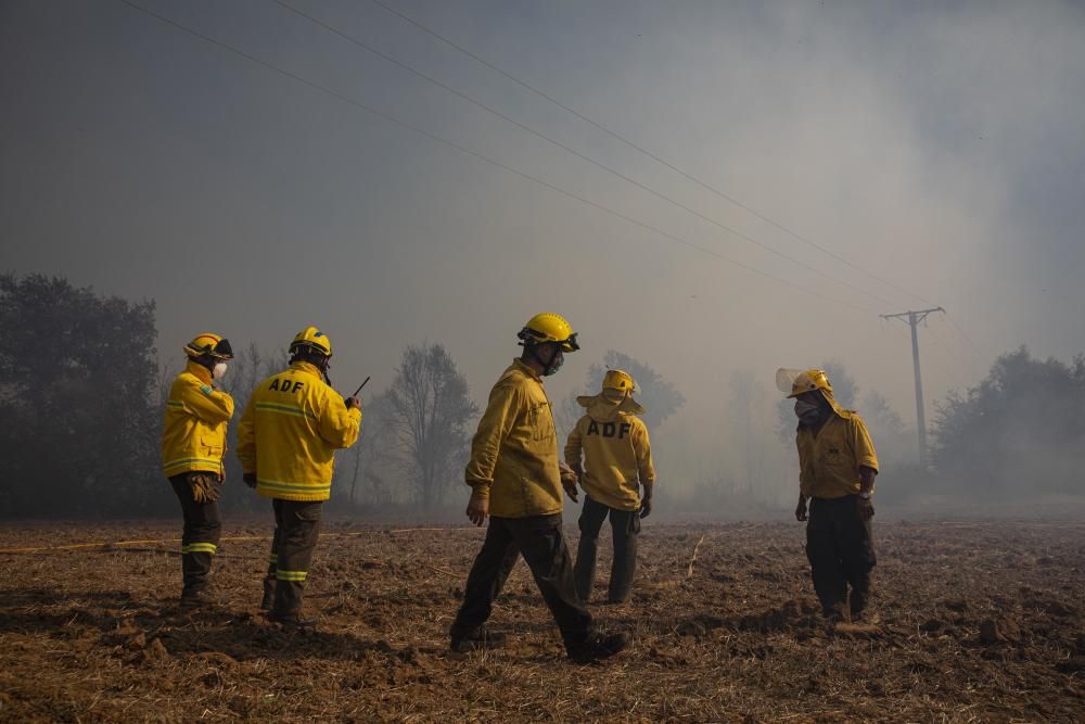 Incendi a Caldes de Malavella.