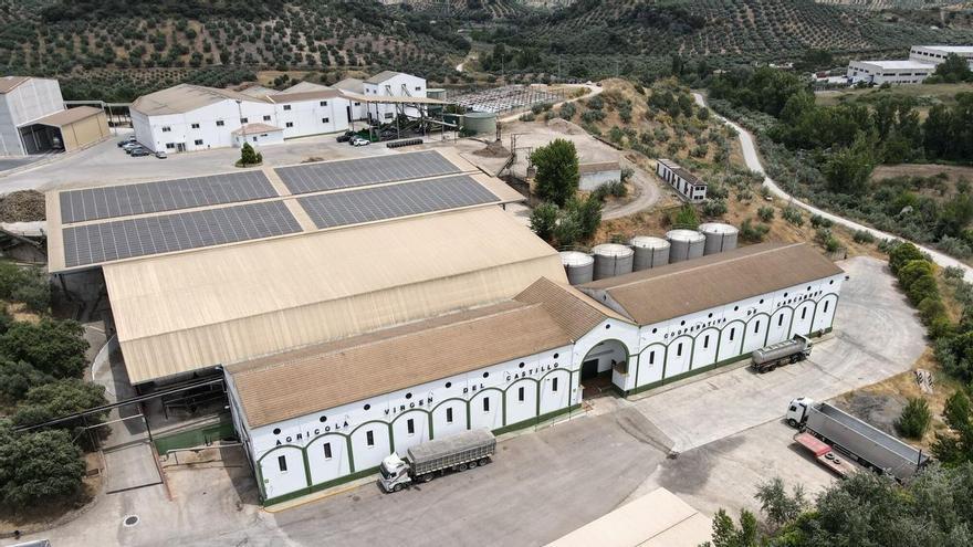 Dos aceites de la DOP Priego de Córdoba, reconocidos como los mejores de España por el Ministerio de Agricultura