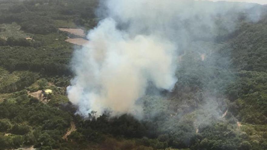 Controlado el conato de incendio en La Palma