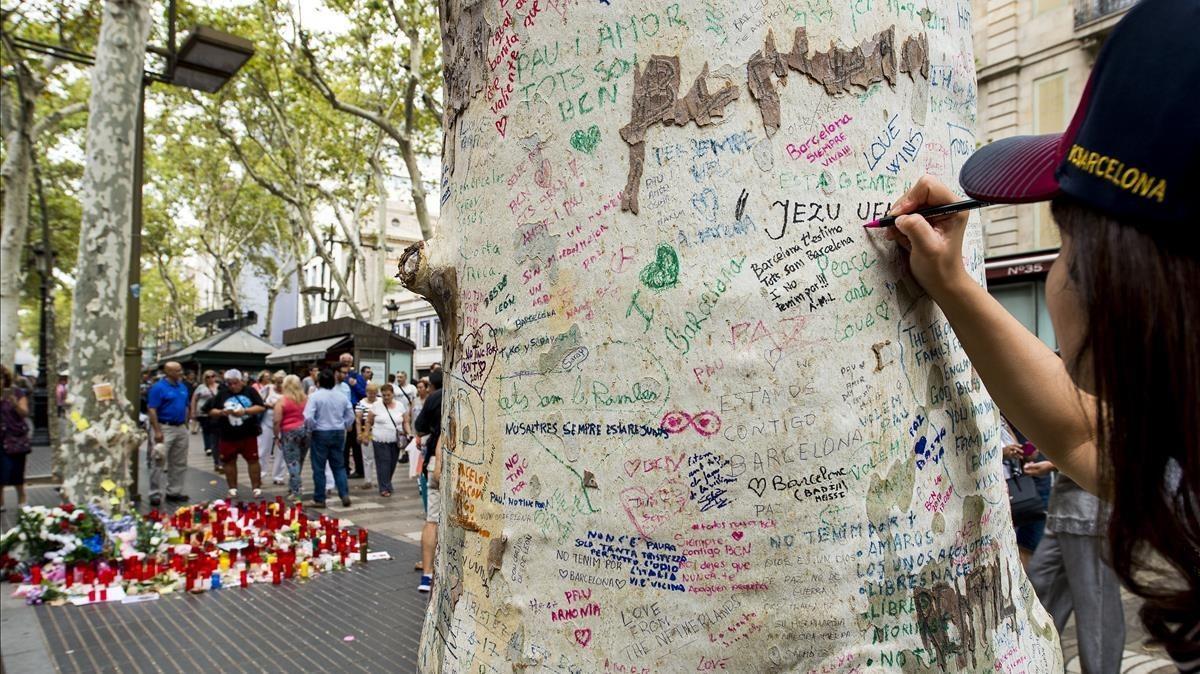 Las cortezas de los plátanos de la Rambla se llenan de mensajes en memoria de las victimas del atentado.