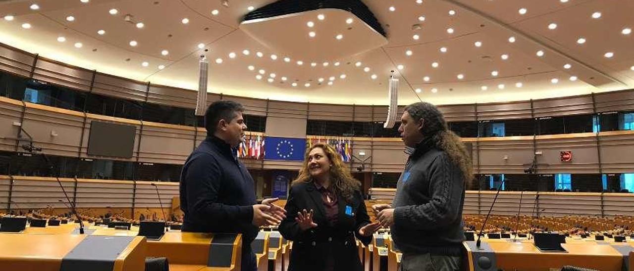 Charlín, Cores y Oubiña en el Parlamento Europeo. // FdV