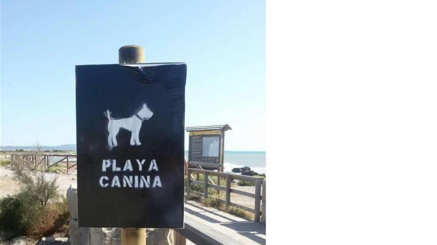 Defensores de la playa canina agreden a una empleada de la oficina de turismo de Torre la Sal