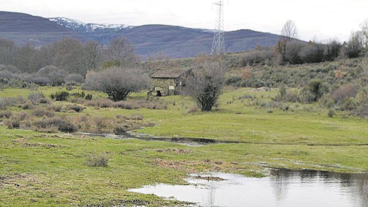 Paraje de Cobreros (Zamora) donde se instalará un parque fotovoltaico.