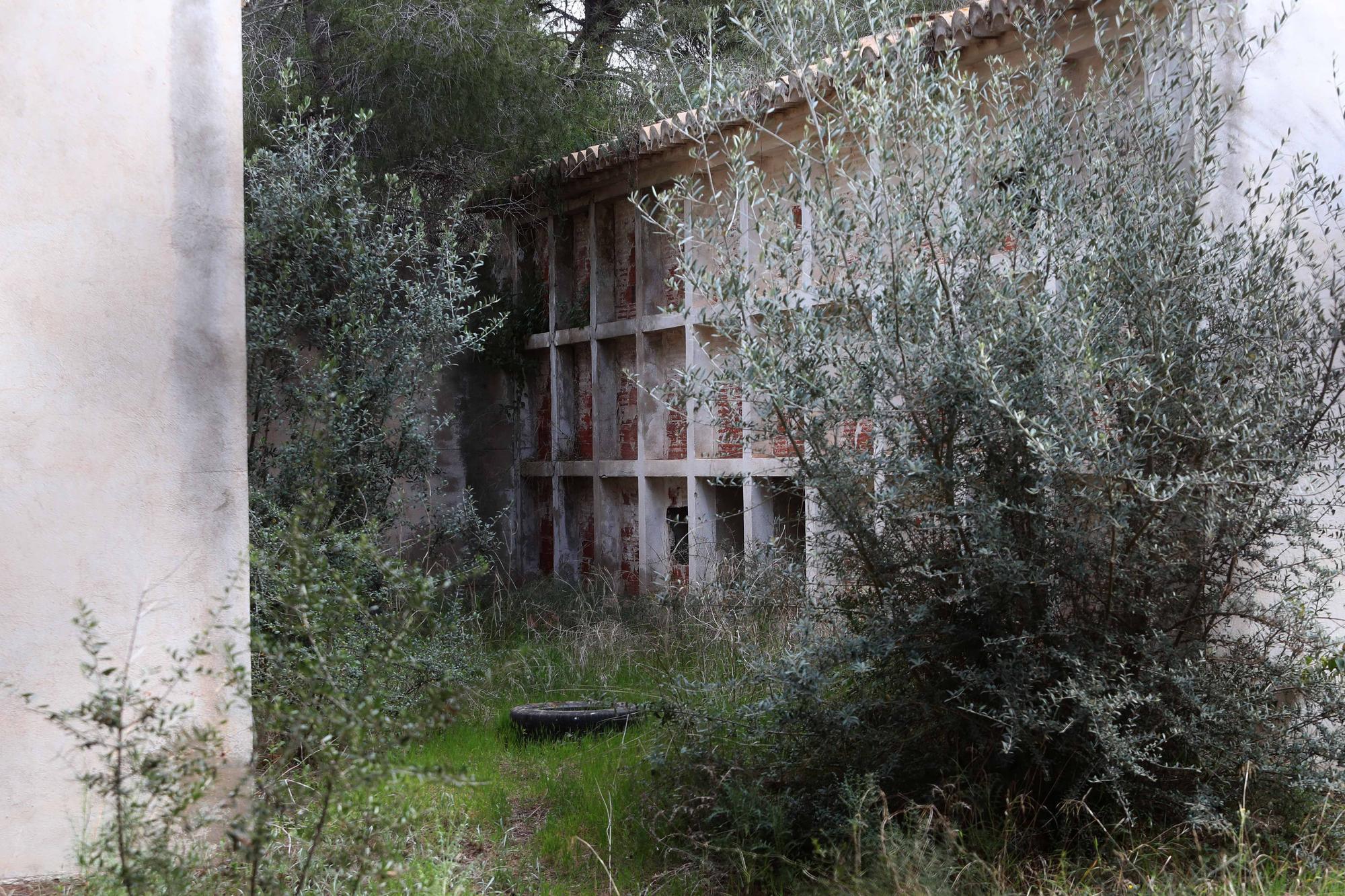 El cementerio abandonado de Moncada que te recordará a las películas de zombies