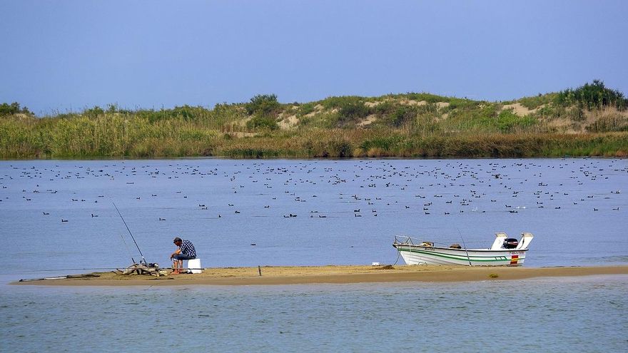La impresionante playa por la que pasa el río Ebro y que casi no conocen los de Zaragoza