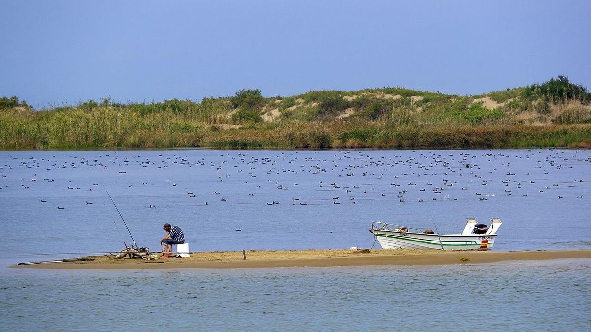 Delta del Ebro