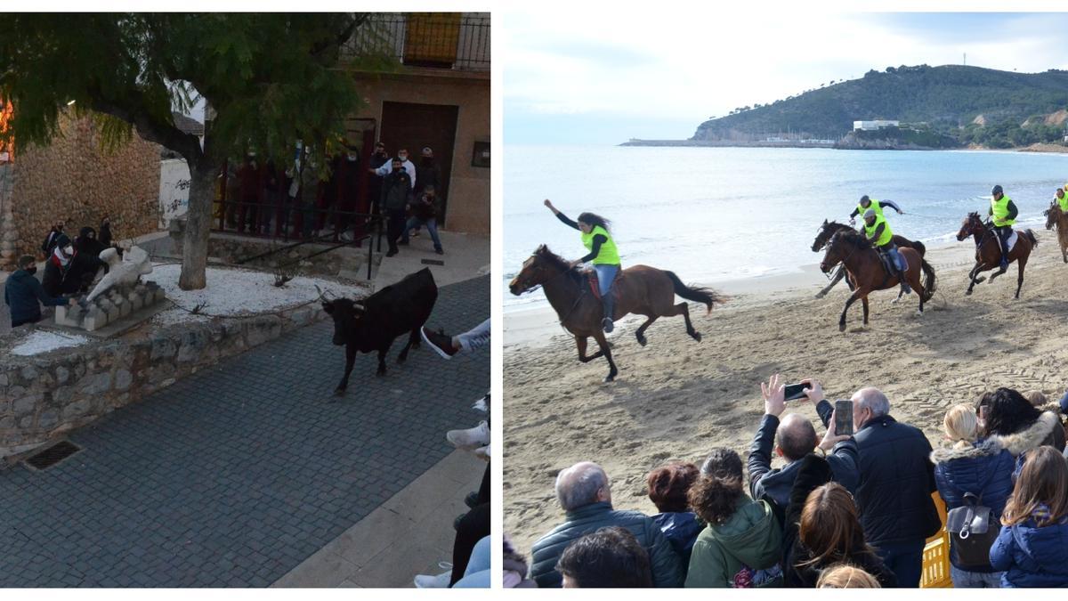 Los &#039;bous al Ravalet&#039; y la carrera de caballos y burros son un clásico en las fiestas de Sant Antoni de Orpesa.
