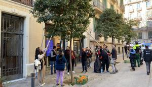 Primera cosecha de mermelada de naranjas del Eixample