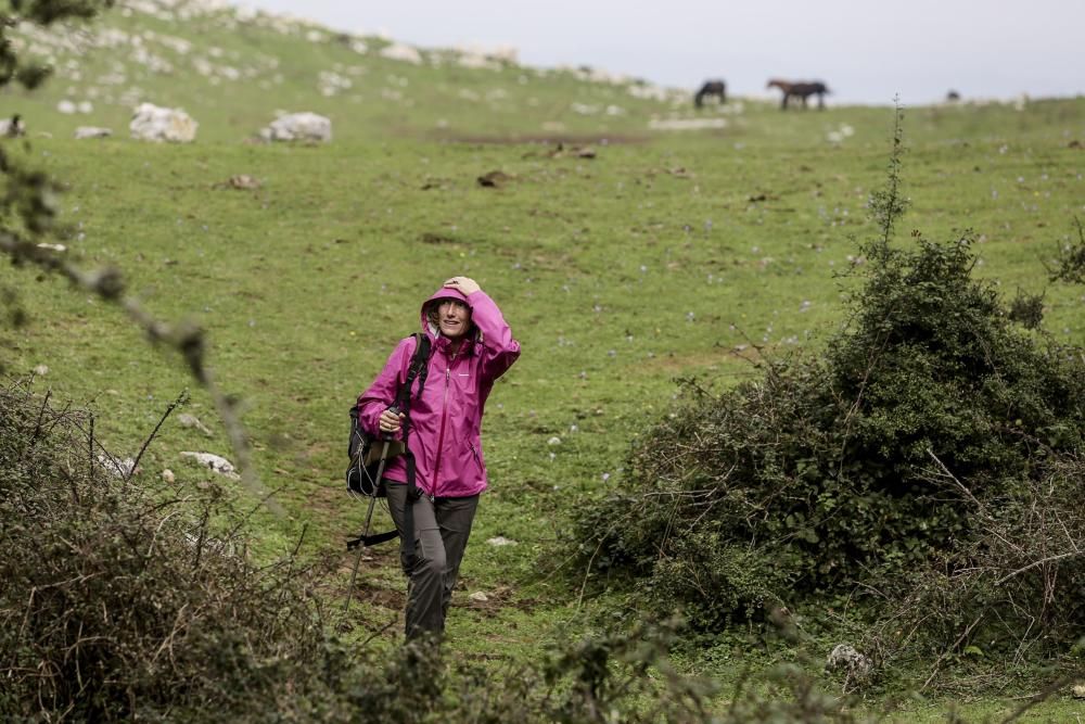 Ruta de las Santas Reliquias, entre Oviedo y el Monsacro