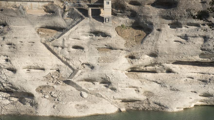 Las cosechas se resienten por las olas de calor consecutivas y la sequía