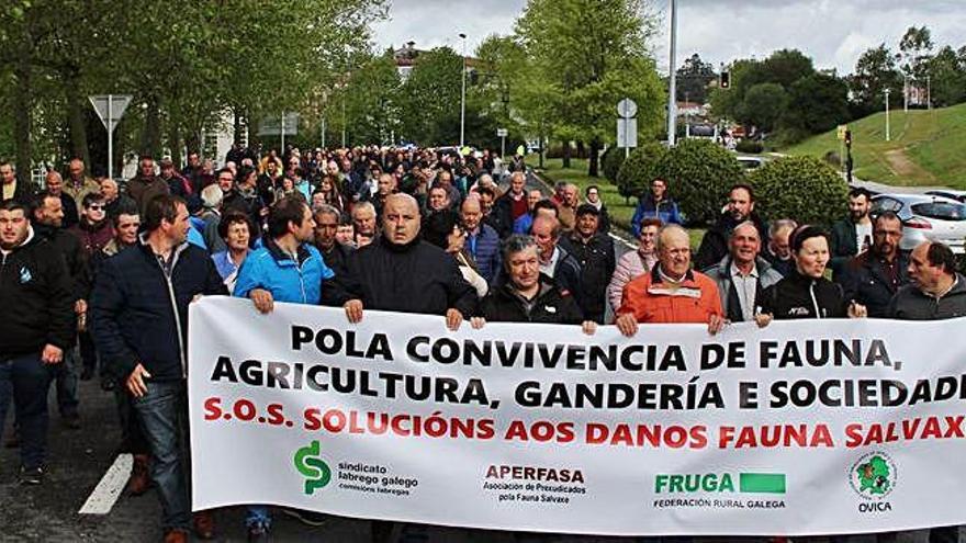 Cacerolada frente a los daños de la fauna salvaje