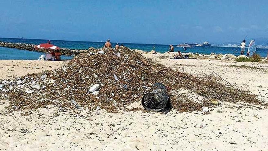 Algas y basura en Ciudad Jardín