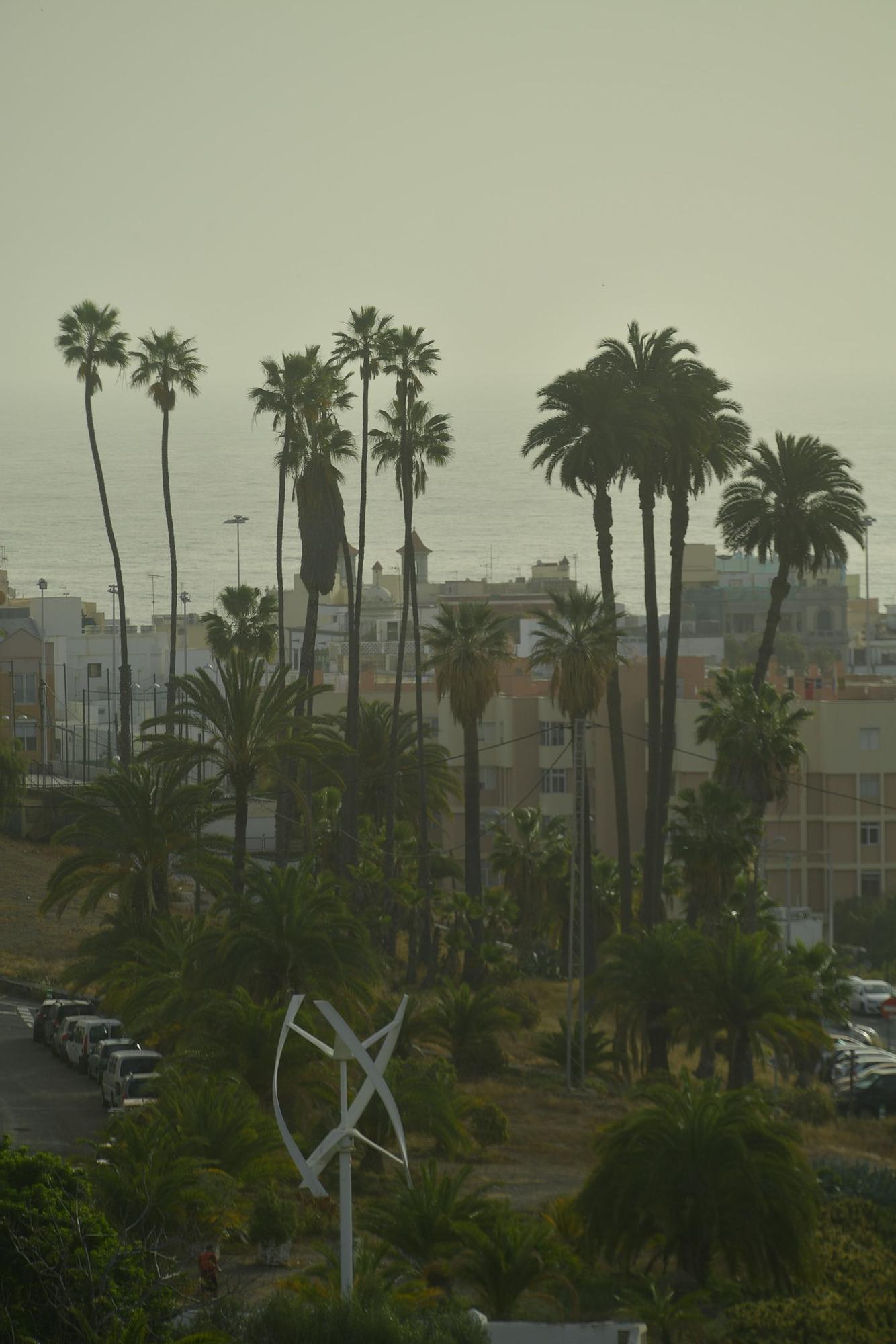 Tiempo en Las Palmas de Gran Canaria (31/03/2023)