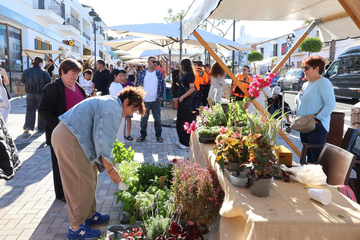 Todas las imágenes de las Fiestas de Sant Isidre en Sant Josep
