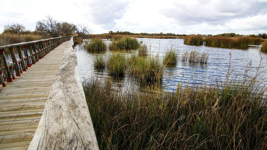 Cerca del 25% del paisaje europeo podría ser renaturalizado