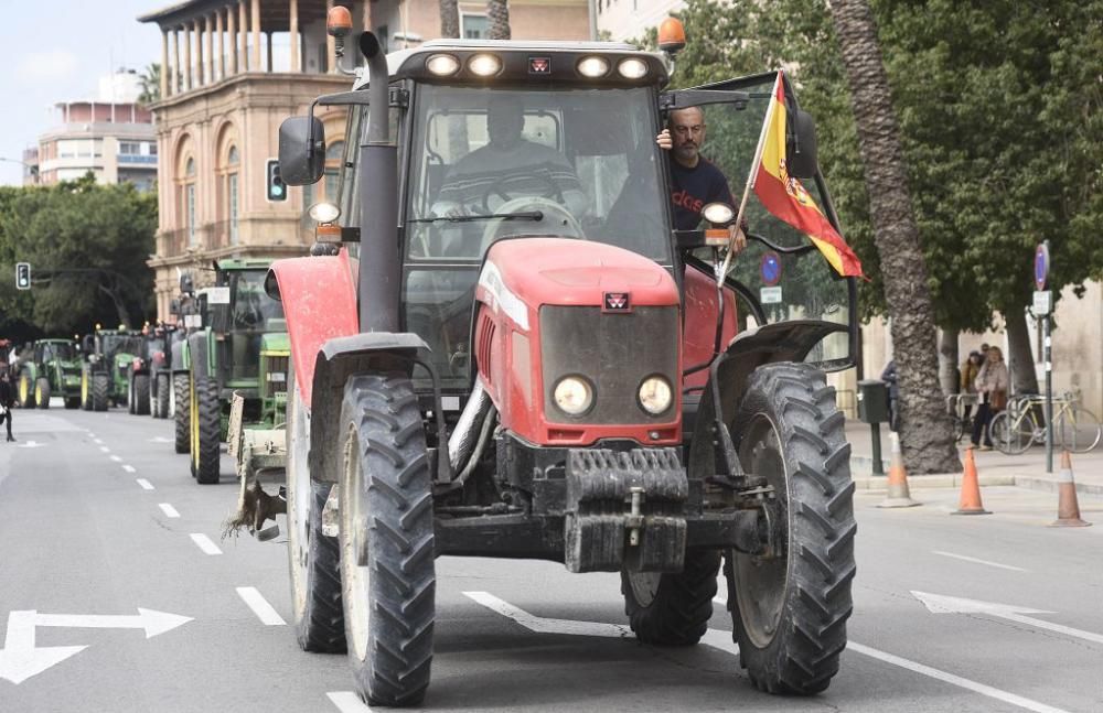 Así ha sido la manifestación de los agricultores en Murcia (II)