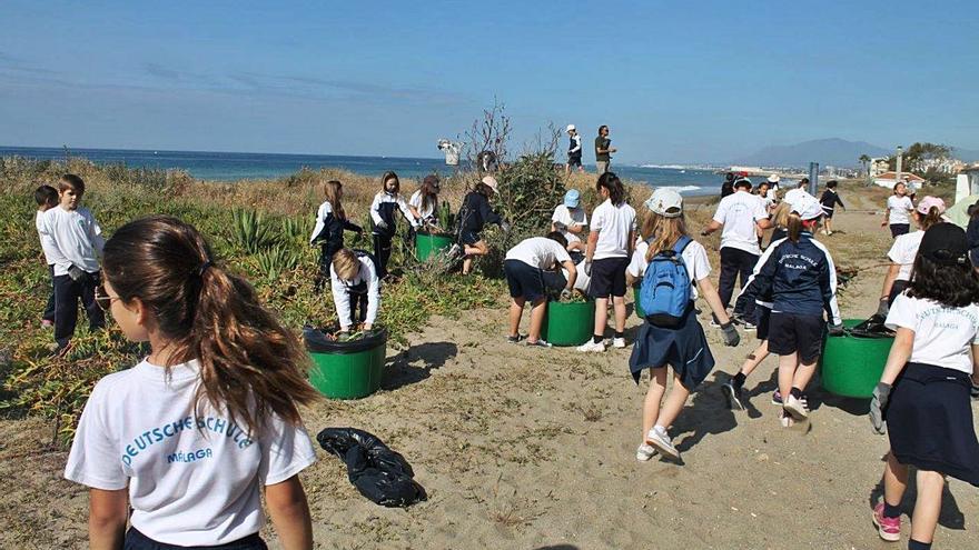 Escolares de Marbella realizan labores de conservación de una de las dunas del municipio
