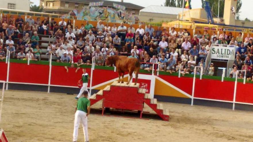 Fotogalería del Concurso &#039;Aragón en Fiestas&#039;