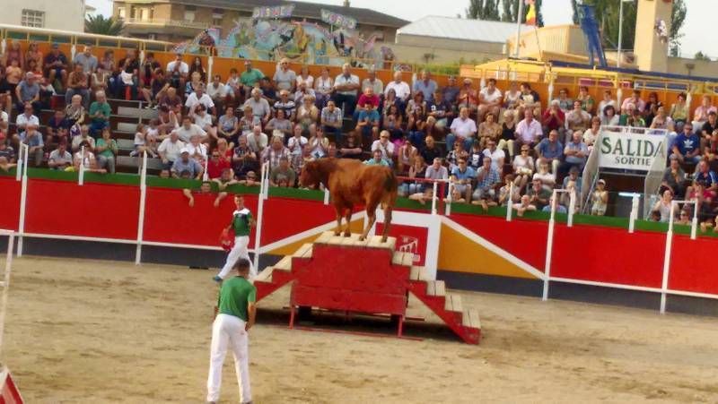 Fotogalería del Concurso 'Aragón en Fiestas'