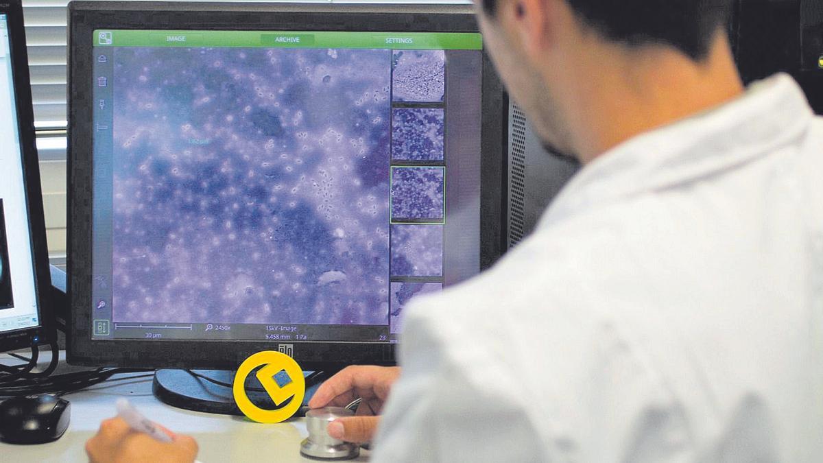 Uno de los investigadores monitoriza la actividad de las larvas.