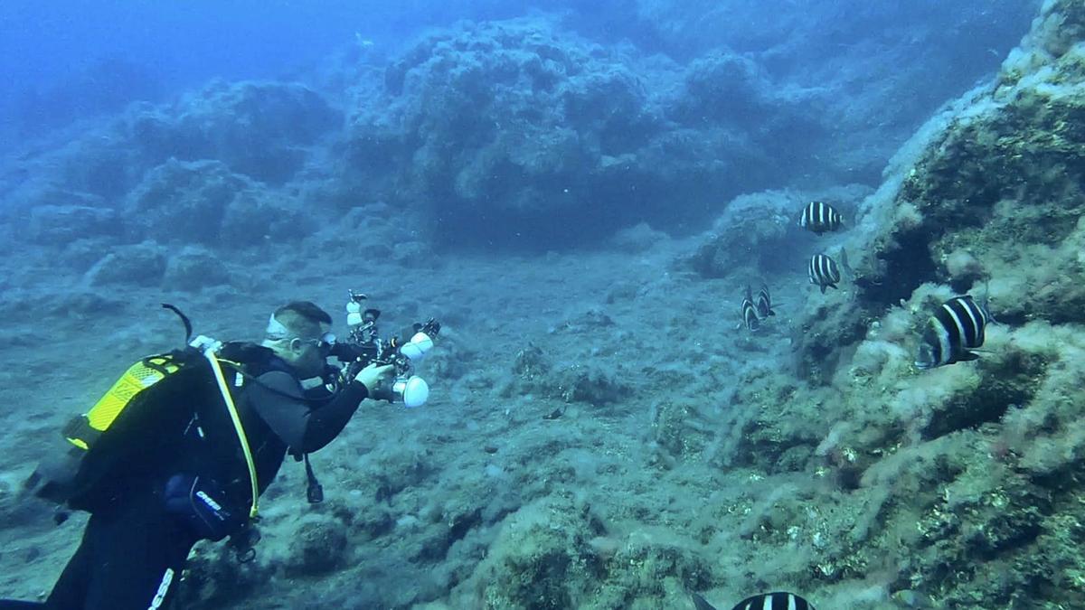 Dos buceadores se sumergen en las aguas de Canarias | | E.D.