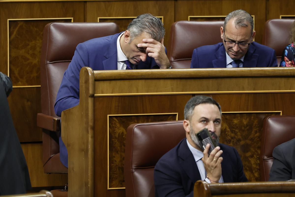 Vox confirma a Javier Ortega Smith como candidato a la alcaldía de Madrid tras apartarle de la Secretaría General del partido.