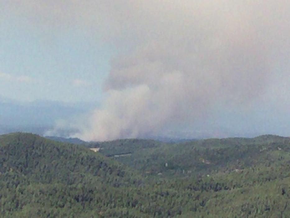 Incendi forestal a Sant Feliu Sasserra