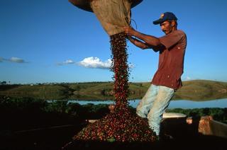 Brasil logra una exportación récord de café