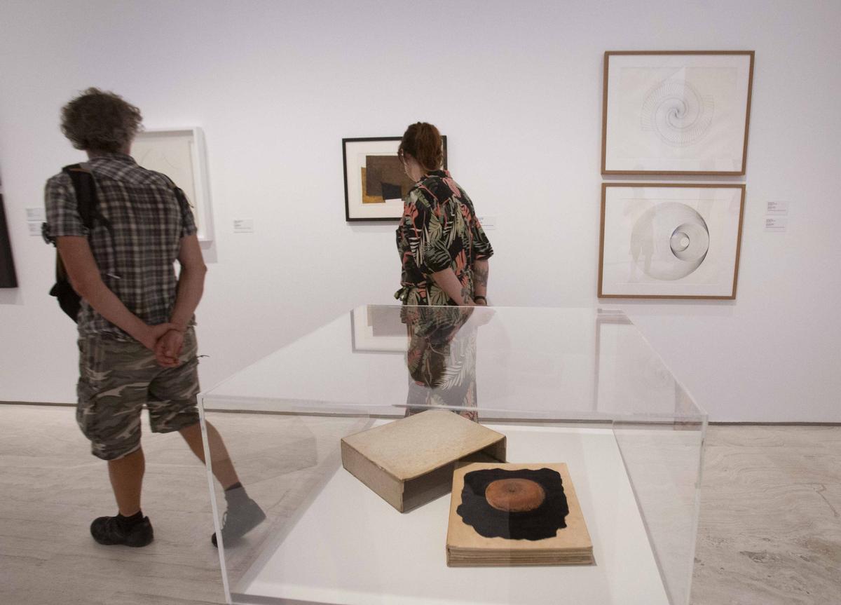 Exposición "Arte en una tierra baldía" en el MACA, con fondos del IVAM