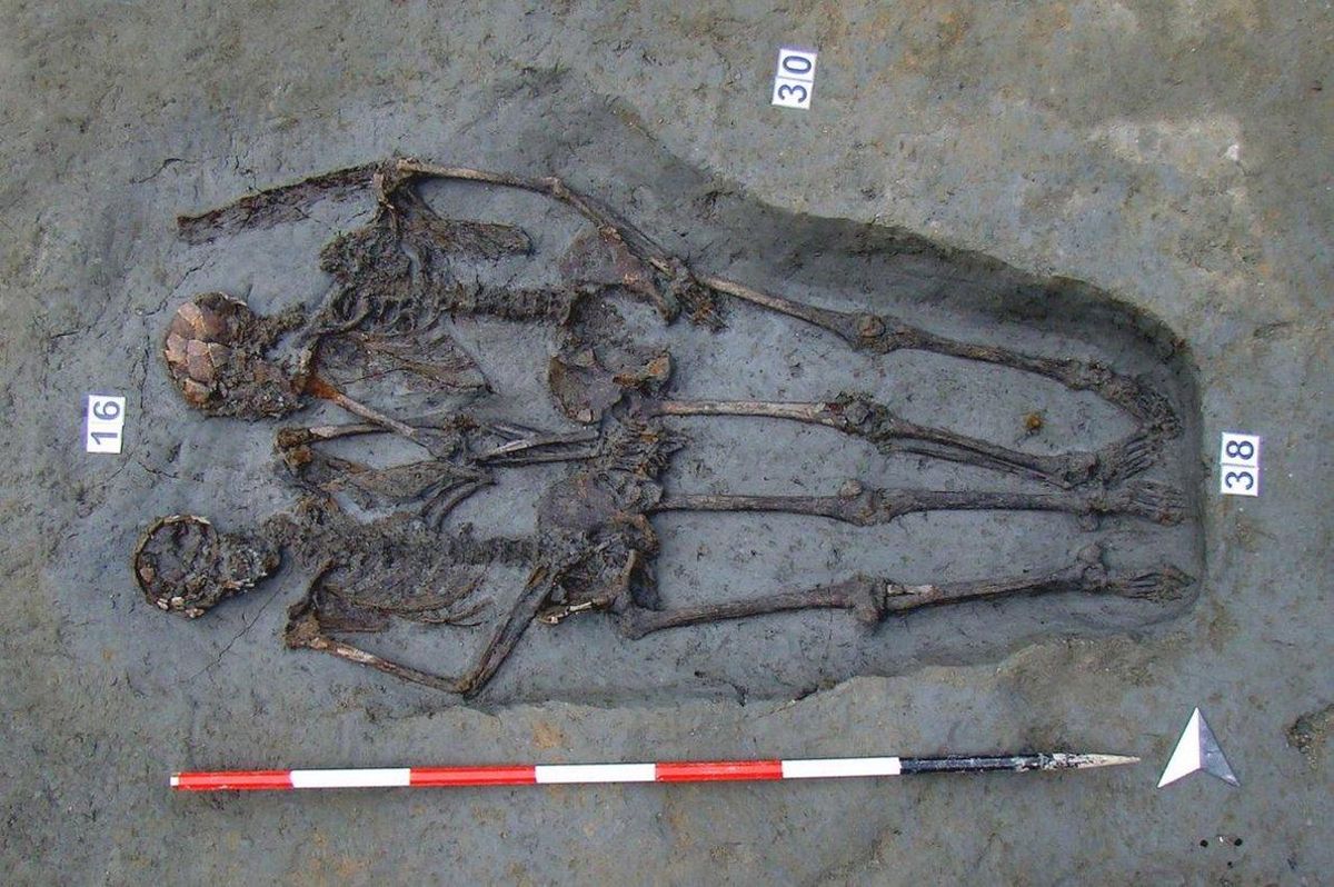 Modena (Italy), 12/09/2019.- An undated handout photo made available by the University of Bologna shows a couple of skeletons known as the ’Lovers of Modena’ (Gli amanti di Modena), in Modena, northern Italy (issued 12 September 2019). The skeletal remains, buried in Roman times in the Ciro Menotti necropolis (4thñ6th century; Modena) holding hands in the same tomb, were assumed to be of a man and a woman. But a new analysis, based on the study of enamel dental tissue, revealed that they were two men, researchers say. (Italia) EFE/EPA/UNIVERSITY OF BOLOGNA HANDOUT HANDOUT EDITORIAL USE ONLY/NO SALES Modena (Italy), 12/09/2019.- An undated handout photo made available by the University of Bologna shows a couple of skeletons known as the ’Lovers of Modena’ (Gli amanti di Modena), in Modena, northern Italy (issued 12 September 2019). The skeletal remains, buried in Roman times in the Ciro Menotti necropolis (4thñ6th century; Modena) holding hands in the same tomb, were assumed to be of a man and a woman. But a new analysis, based on the study of enamel dental tissue, revealed that they were two men, researchers say. (Italia) EFE/EPA/UNIVERSITY OF BOLOGNA HANDOUT HANDOUT EDITORIAL USE ONLY/NO SALES