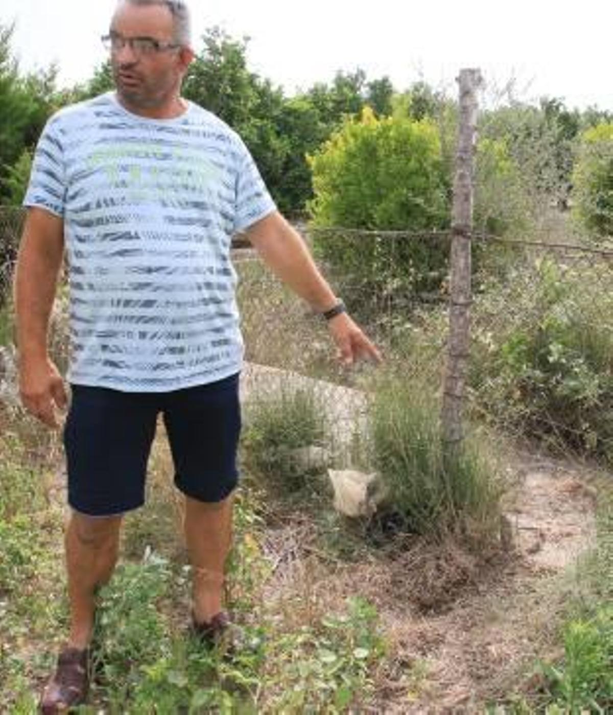 El agricultor señala el agujero por el que se cuelan los jabalíes.