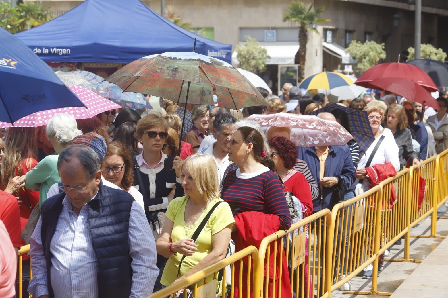 Comienza el Besamanos a la virgen pese al mal tiempo