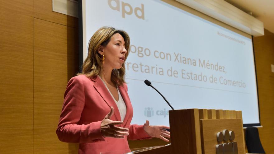 Xiana Méndez durante su intervención.
