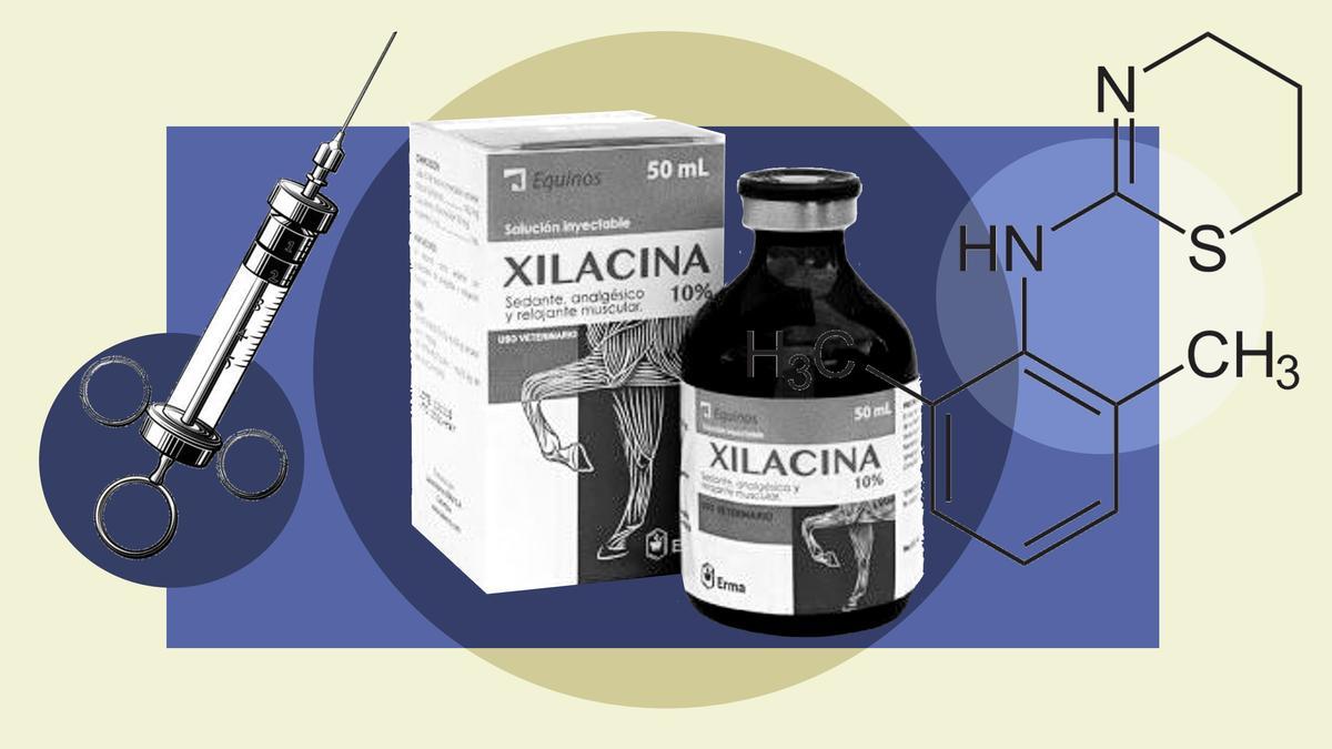 La xilacina o tranq es un medicamento para animales que se utiliza en EEUU como estupefaciente. Imagen: Nacho García / Vídeo: PI Studio