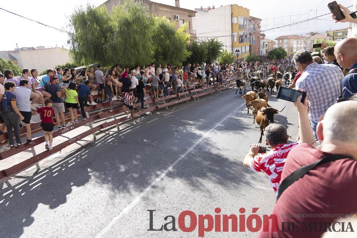 Primer encierro de las Fiestas de Moratalla