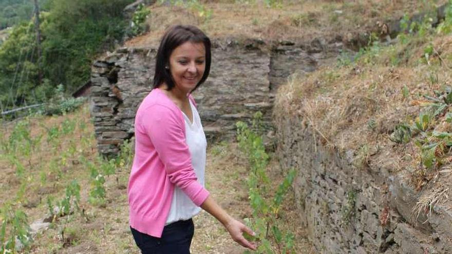 Alicia Fernández examina una de las cepas de la plantación madre, ayer, en Cangas del Narcea.