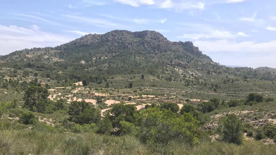 Ecologistas y vecinos alegan contra el paso de dos líneas de alta tensión por Camara y las Barrancadas de Elda