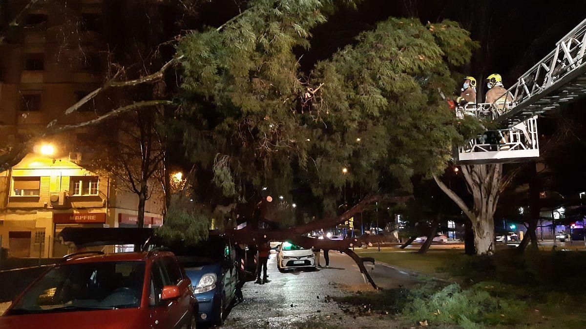 Daños causados por las fuertes rachas de viento registradas en Zaragoza por la borrasca 'Hortensia'